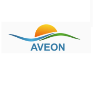 Aveon-Infotech